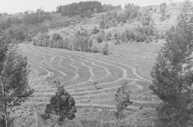A field terraced by the Soil Conservation Service