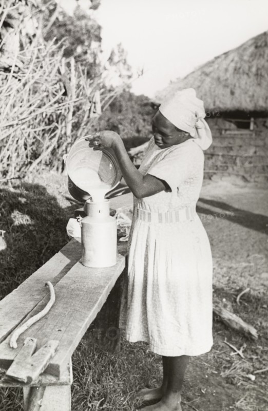 Kikuyu woman pouring milk