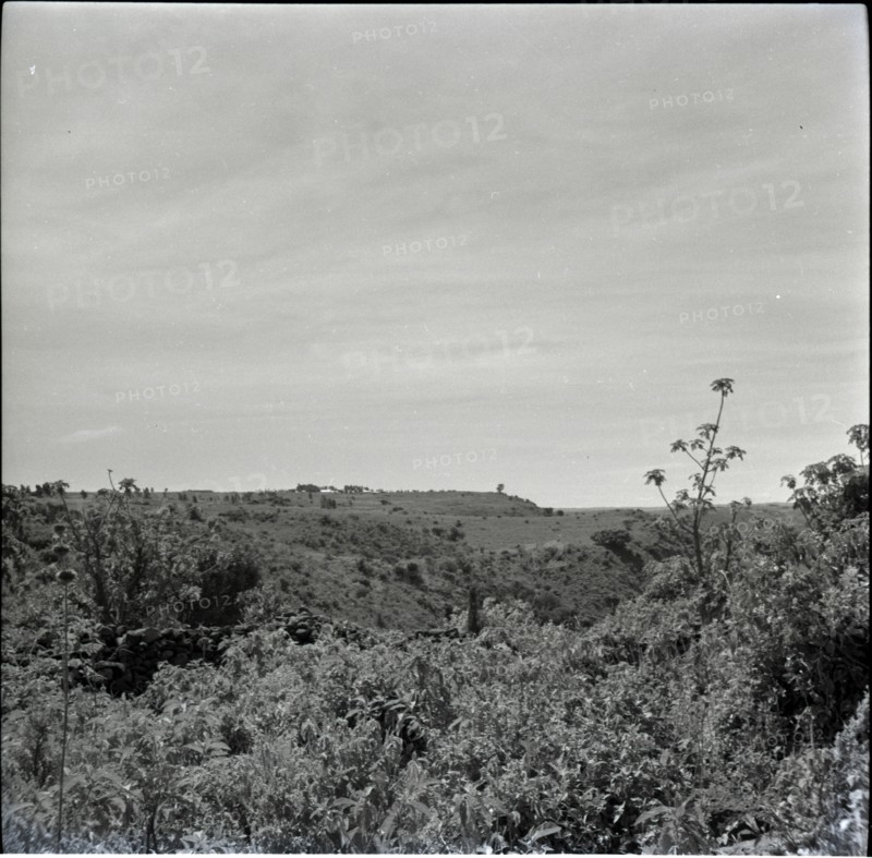 [Obogun?] looking along escarpment