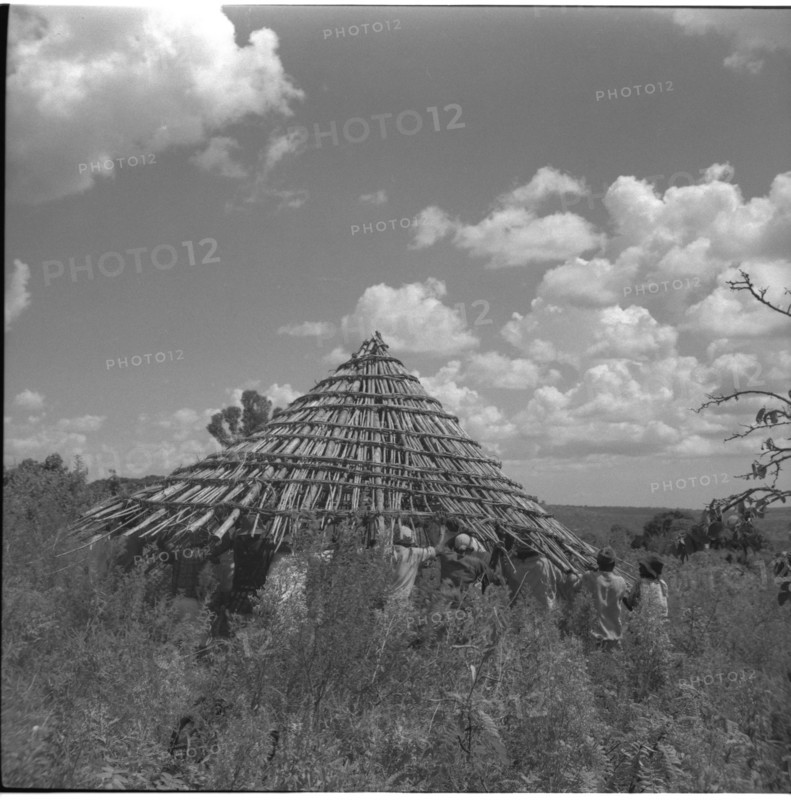 Carrying roof