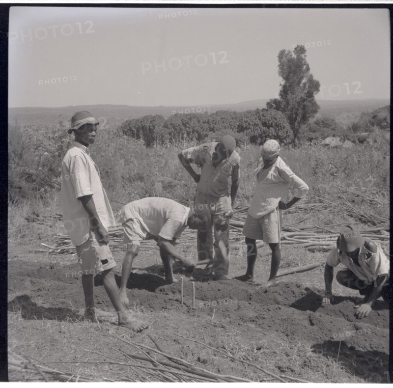 Digging the foundations