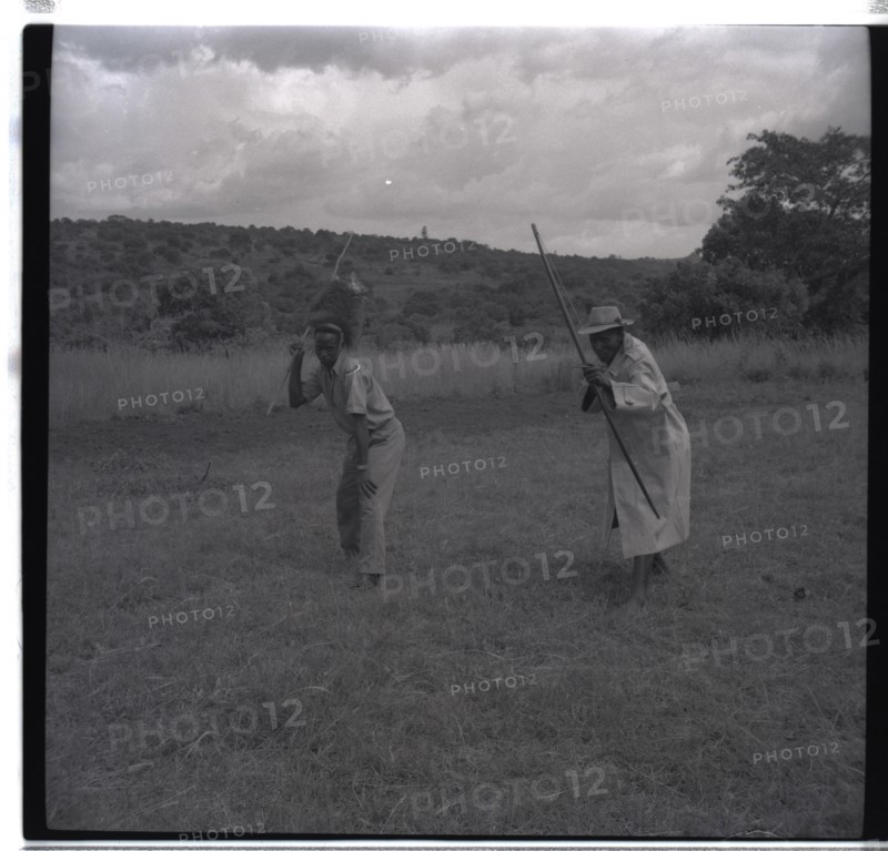 Francis and Gosiani
