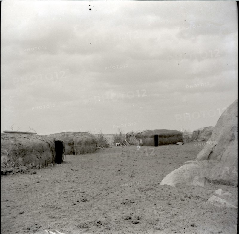 Masai kraal
