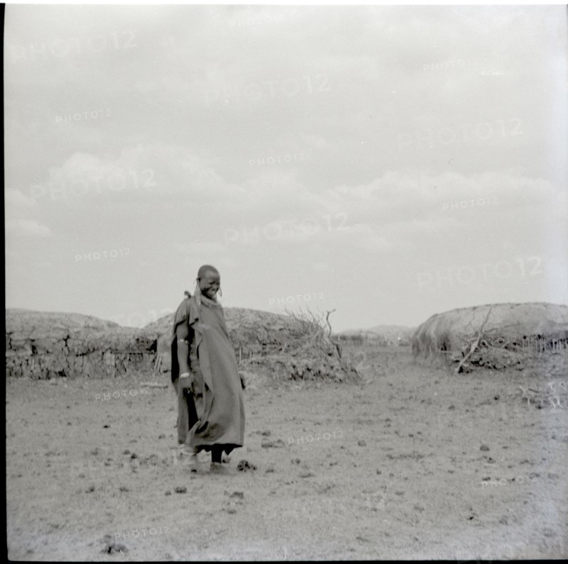 Masai kraal