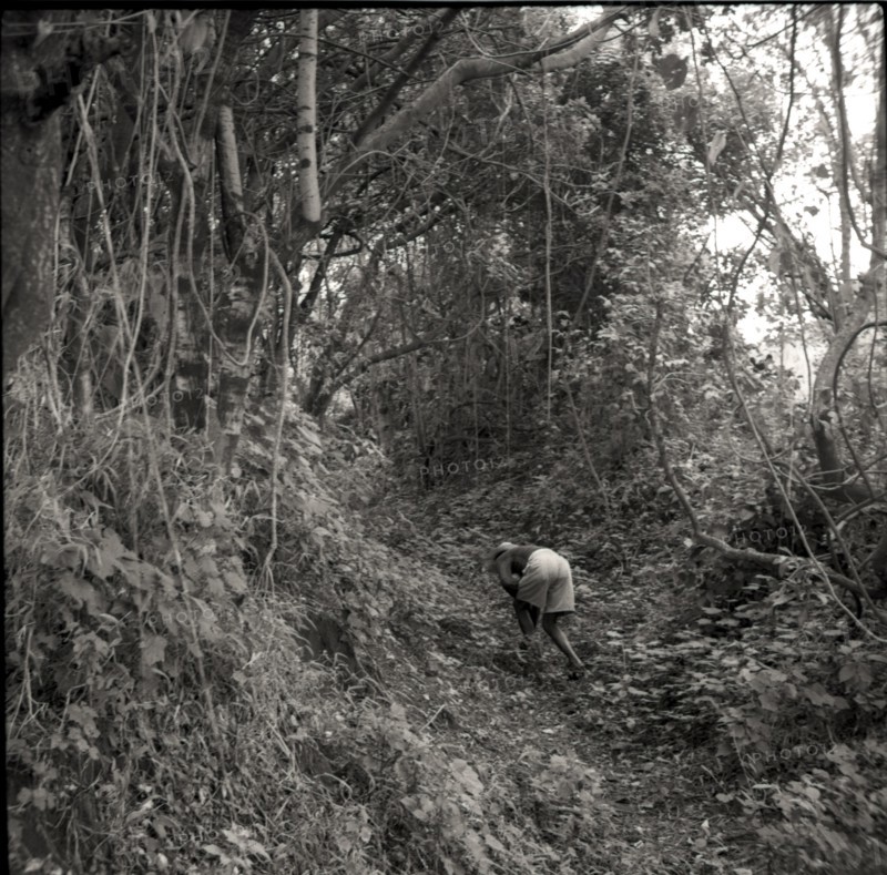 Old cattle pathway
