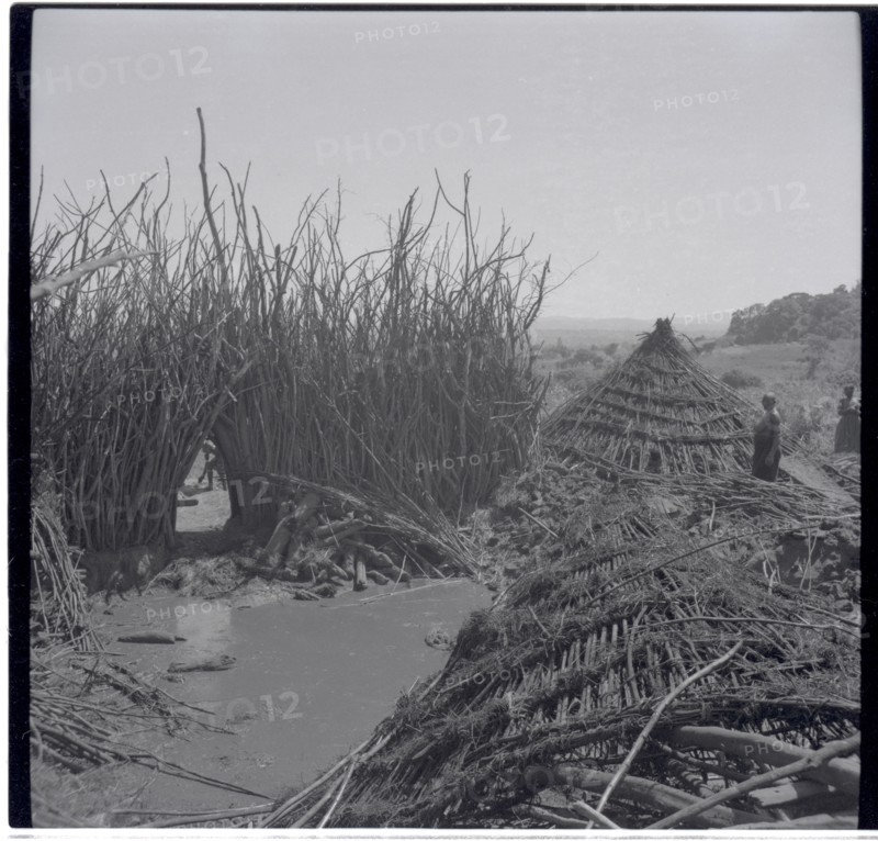 The old compound