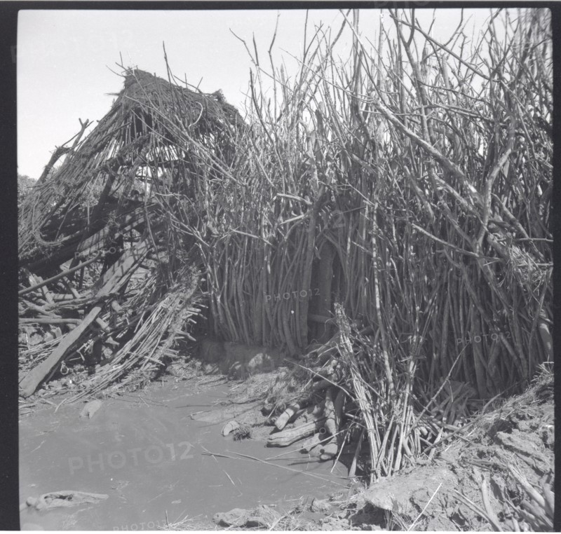 The old compound