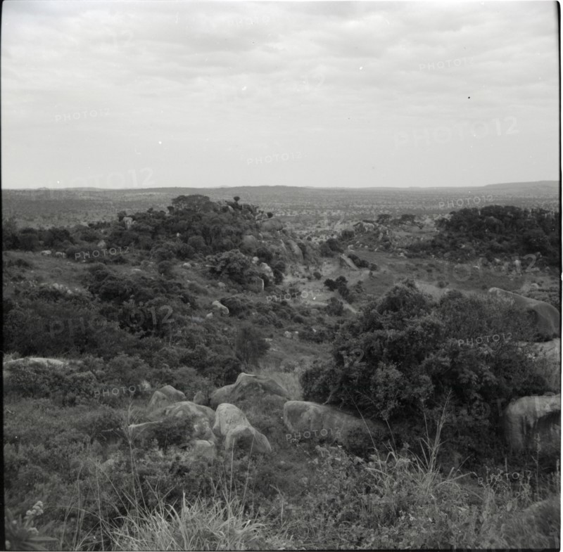 The summit of Renchoka hill