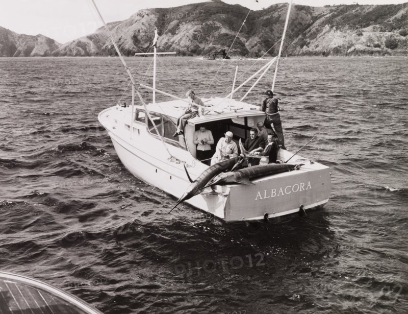 Catching a Striped Marlin, Bay of Islands, New Zealand