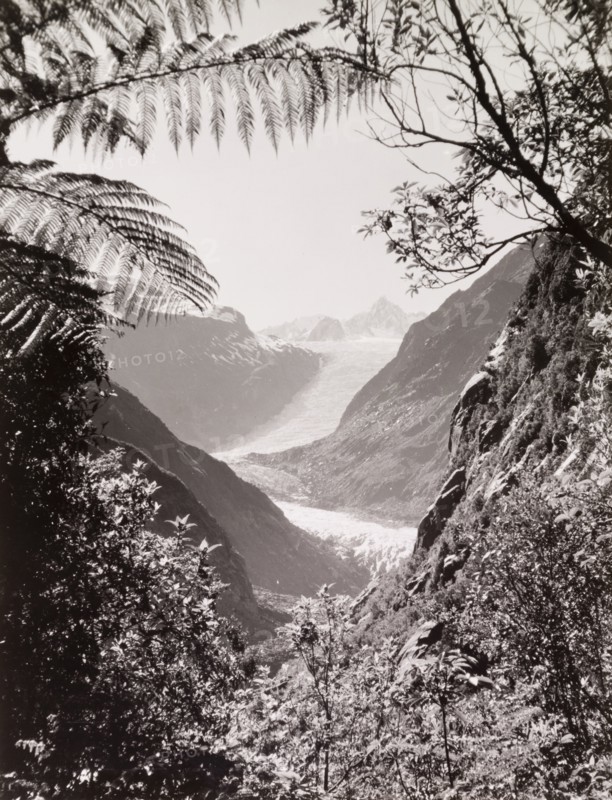 Fox Glacier, Westland