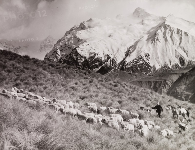 Glentanner Station, Canterbury