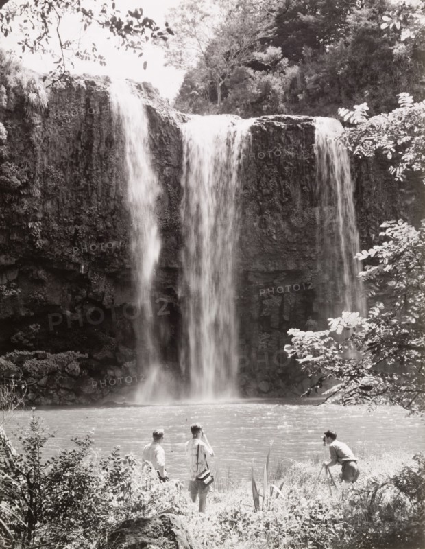 Whangarei Falls, Northland