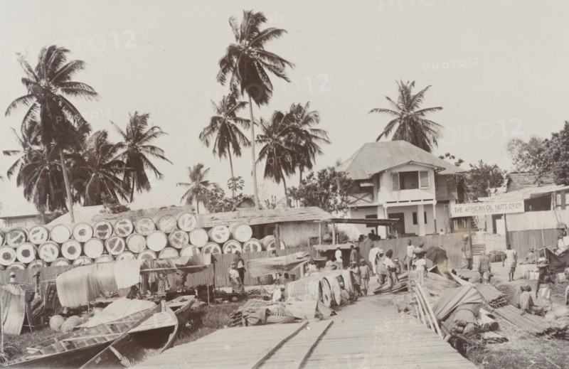 African Oil Nuts company bungalow