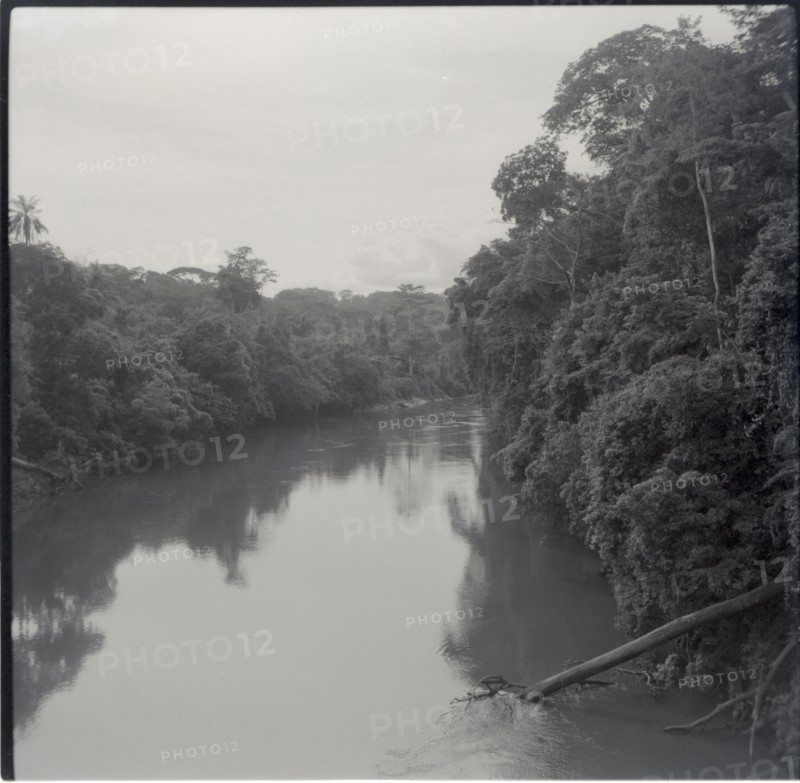 Journey from Ibadan to Cameroons, the Manaya river