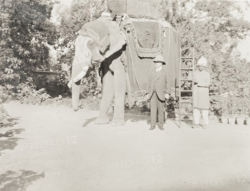 Elephant with attendant