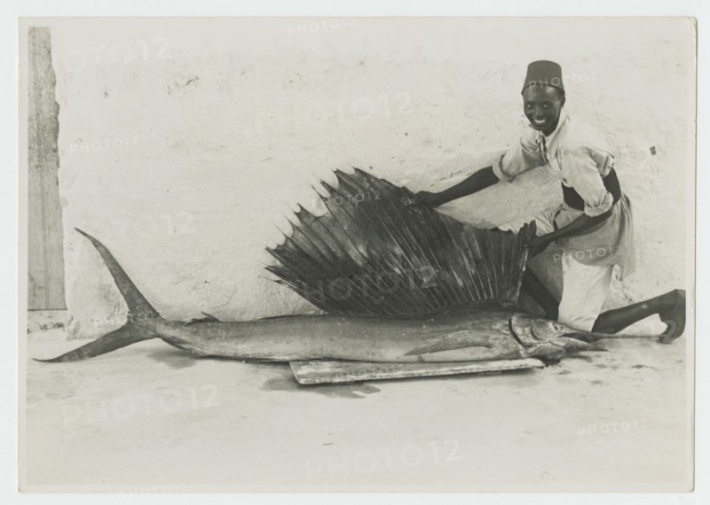 Somali man with large sailfish
