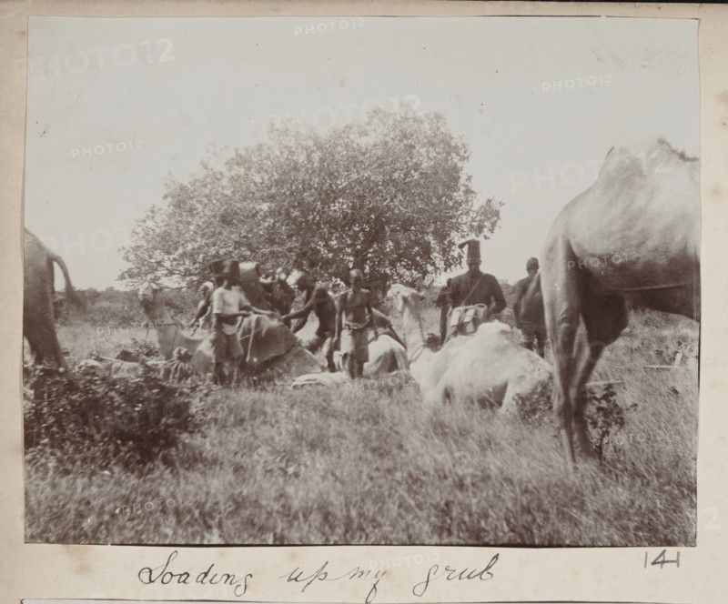 Police troops with camels