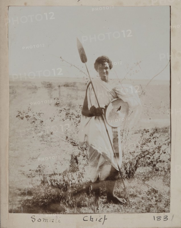 Somali Chief