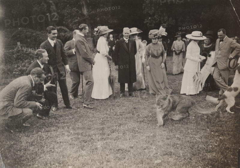 Lion cub at a royal garden party