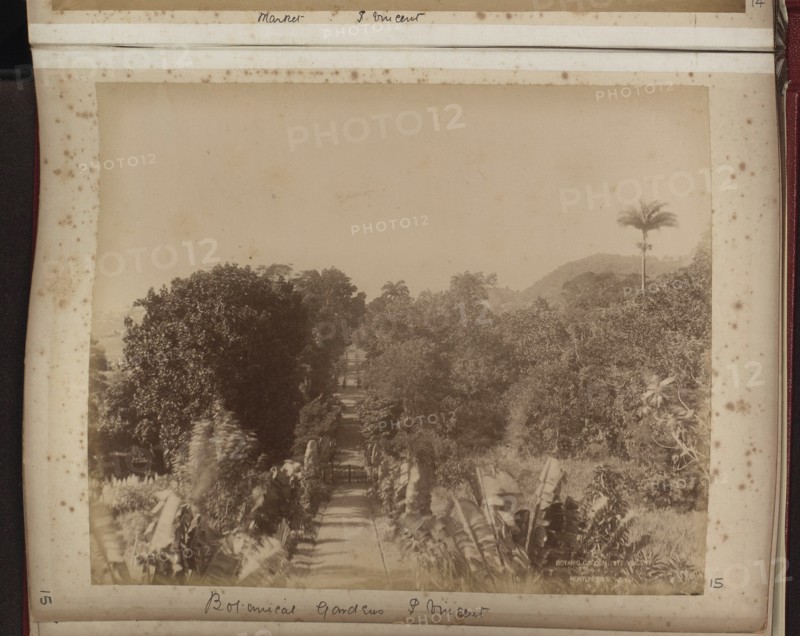 Botanical Gardens, St Vincent