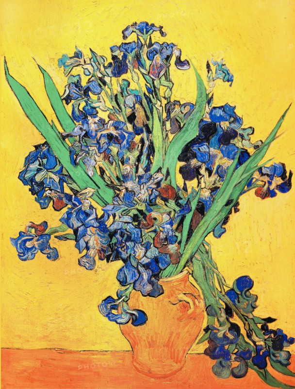 Van Gogh, Vase aux iris