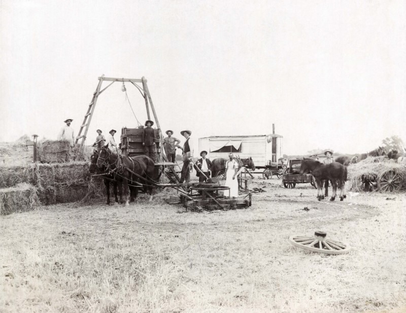 Making Hay Bales