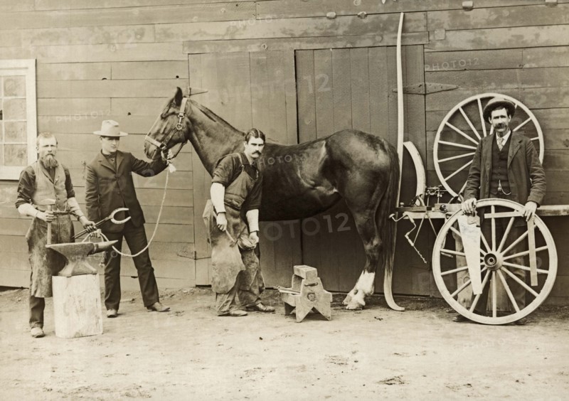 Farrier Shoeing A Horse