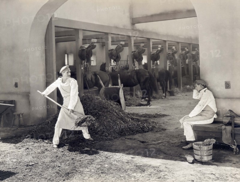 Shoveling Horse Manure
