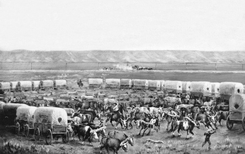 Covered Wagon Corral