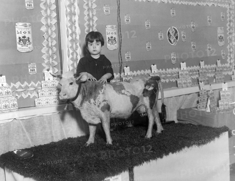 Young Girl With Pet Cow