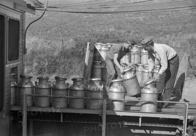 Co-op Dairy Milk Process