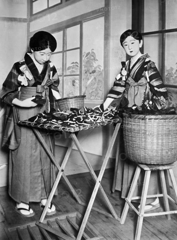 Silk Industry Dolls