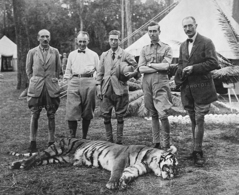 Prince Of Wales Kills Tiger