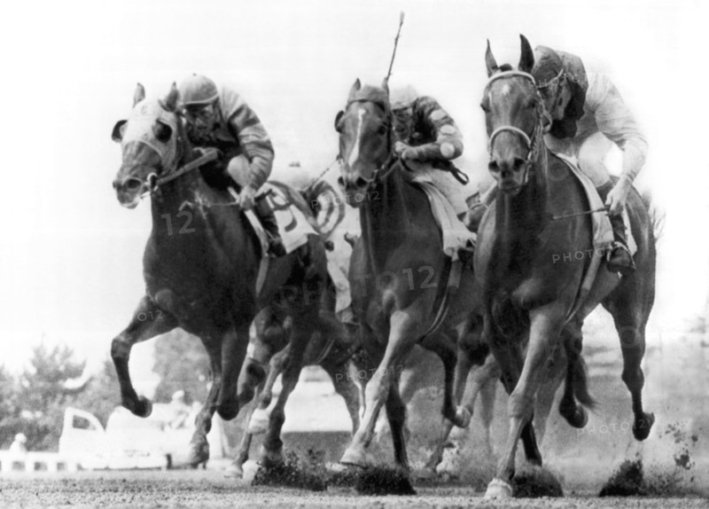 Horse Racing At Monmouth Park