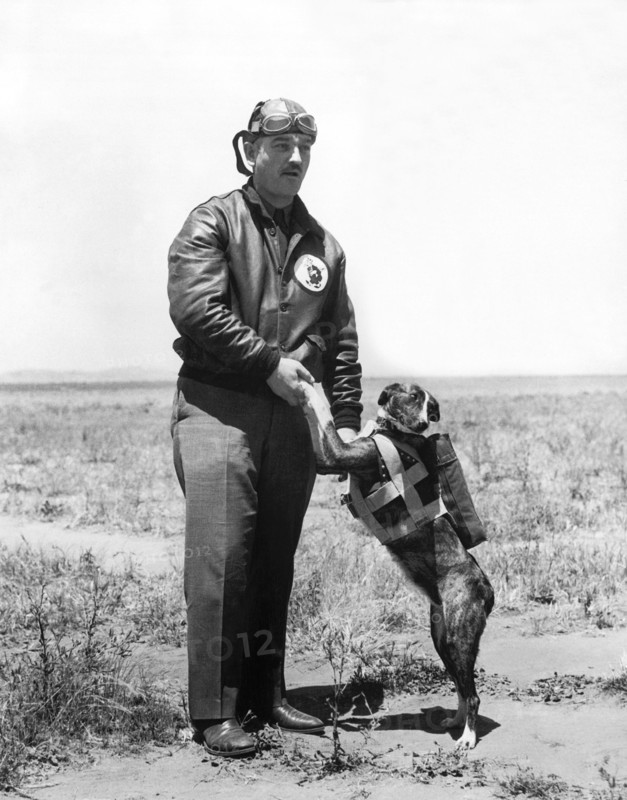 The Parachute Pup