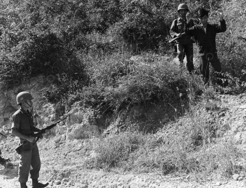 A Viet Cong Surrenders