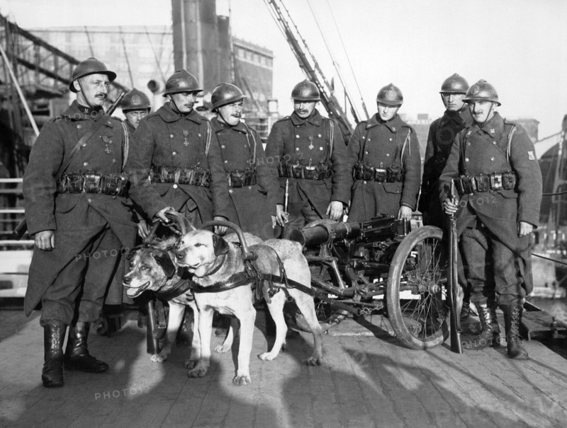 Belgian Soldiers In NY