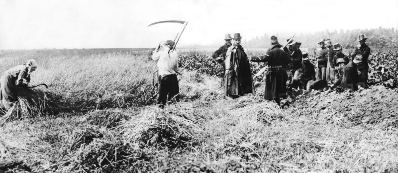Belgian Soldiers And Farmers