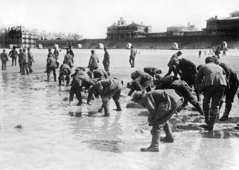 Soldiers Collecting Seashells