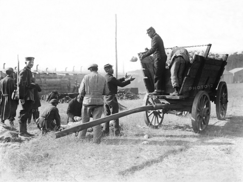 POWs Unload Cabbages For Lunch