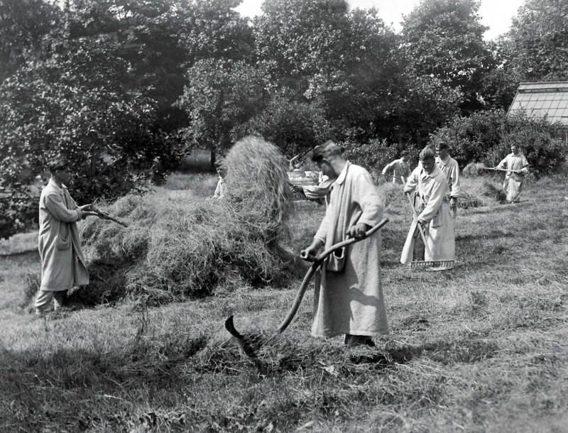 Recovering WWI Soldiers