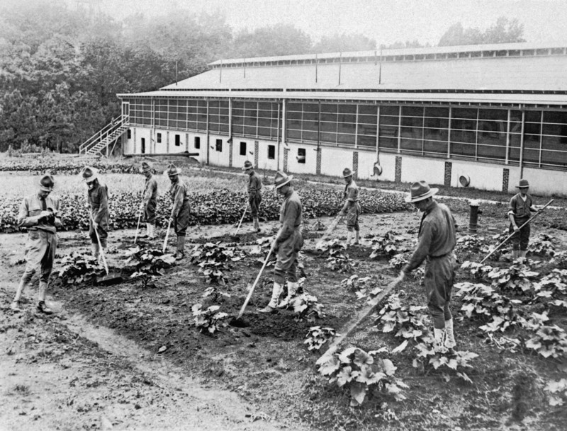 Shell Shocked Troops Gardening