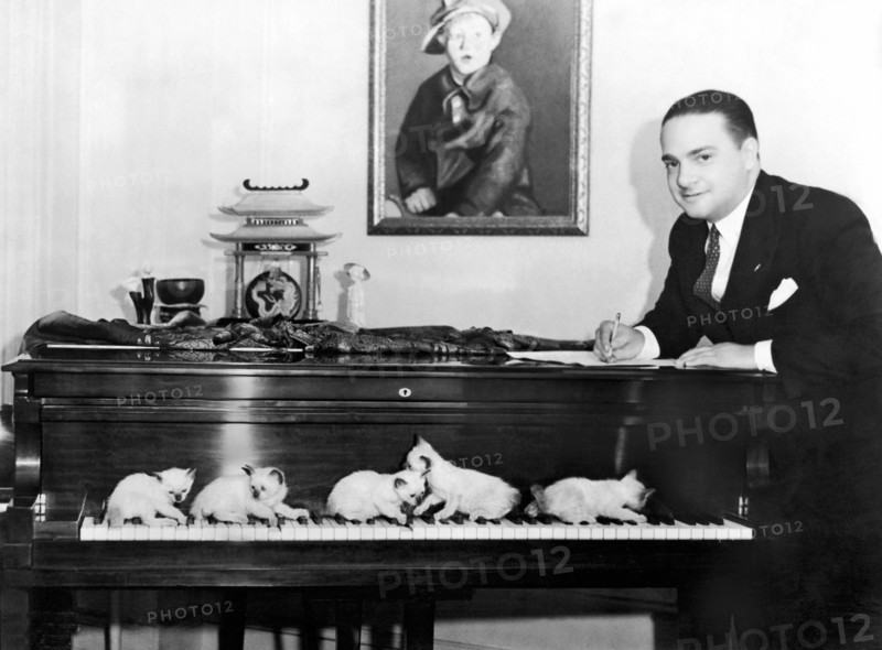 Cats Composing