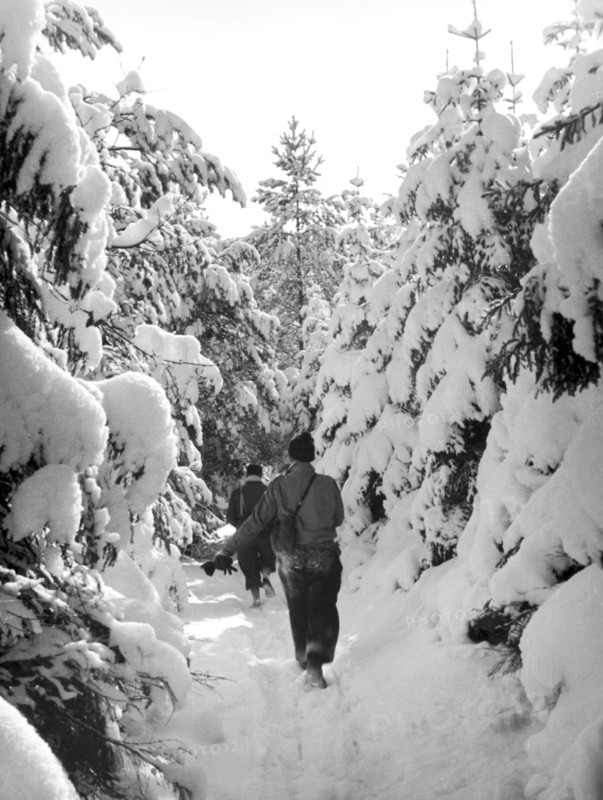 Hiking On A Snowy Trail