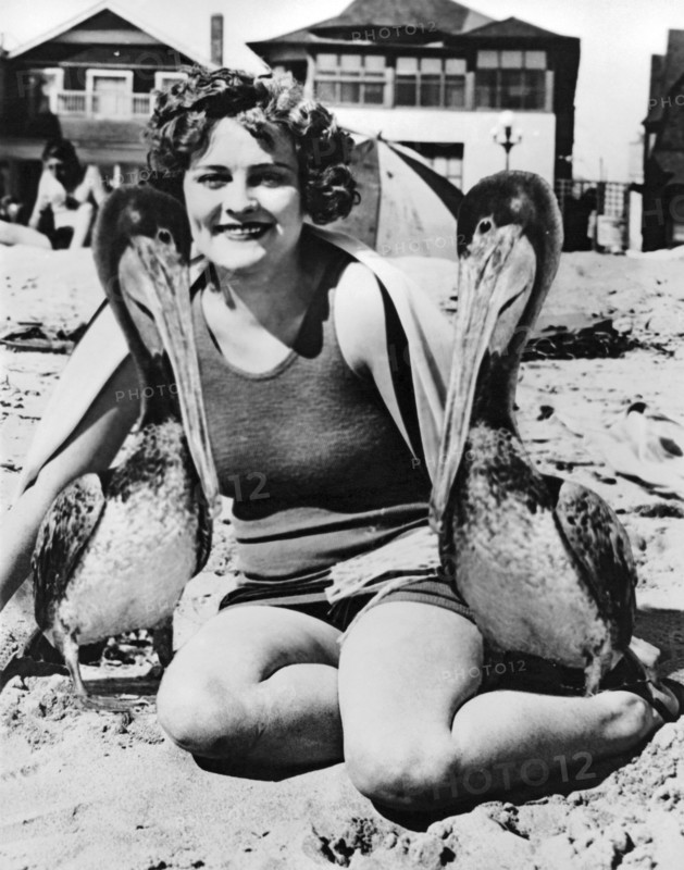 A Woman And Her Pet Pelicans