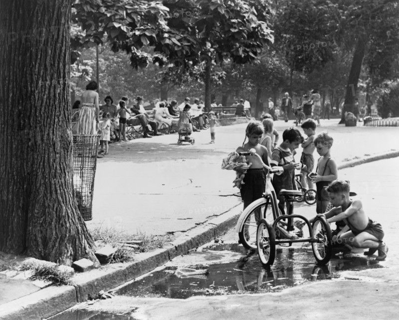Children Playing In Park
