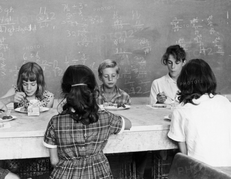 USDA's School Lunch Program.