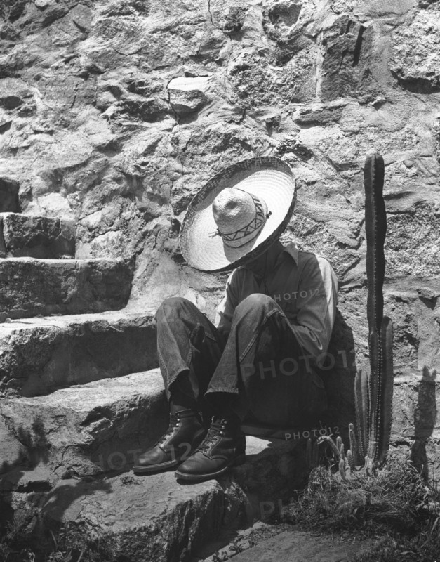 Man Taking A Siesta