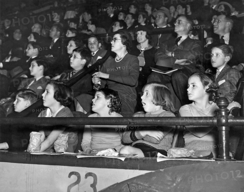 Spectators At The Circus