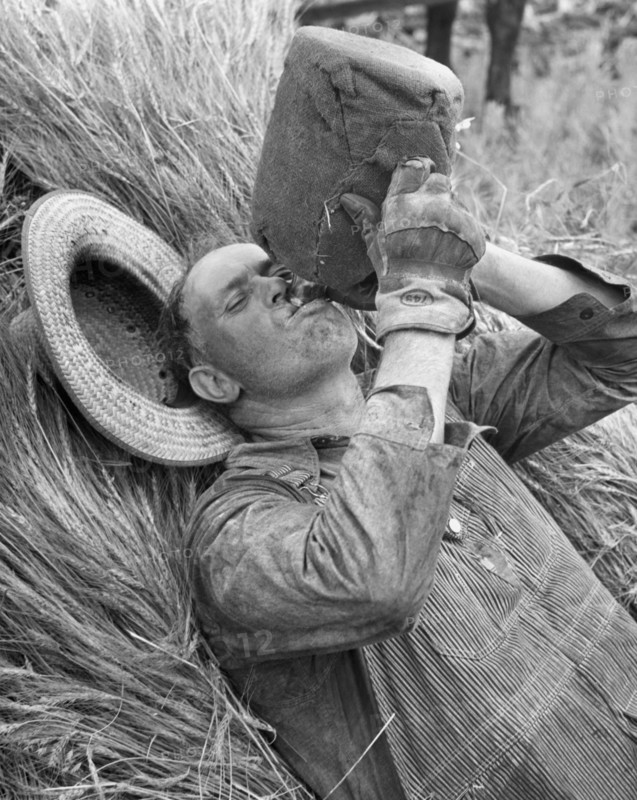 Thirsty Farm Worker